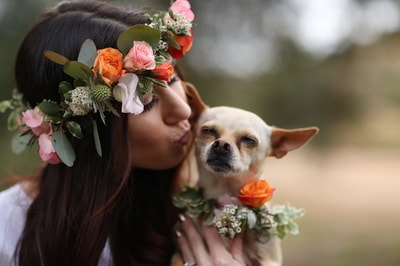 Bride kisses little dog at an intimate wedding at a private venue.